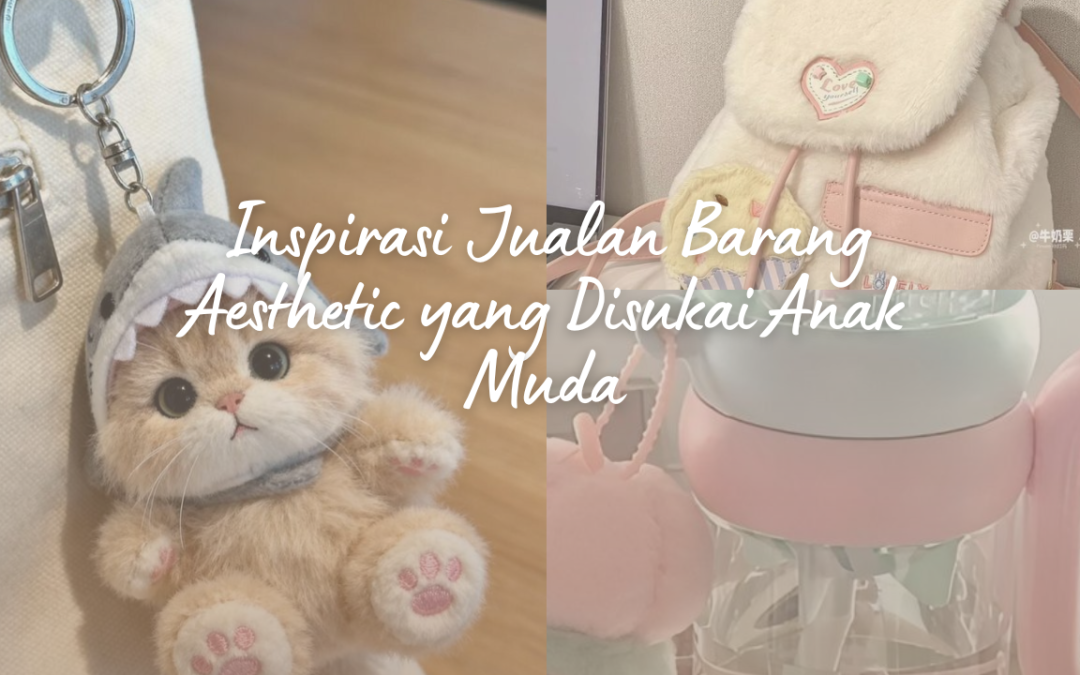 Inspirasi Jualan Barang Aesthetic yang Disukai Anak Muda